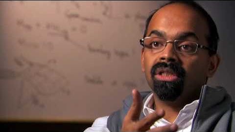 Applied Mathematician L. Mahadevan: 2009 MacArthur Fellow | MacArthur Foundation