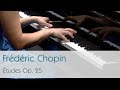 Frédéric Chopin - Études Op. 25 (complete) - Dinara Klinton