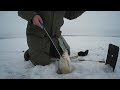 хороший клев продолжается,подлещик на черта,кандры-куль,16.01.18,tmz fishing