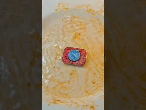 Unveiling the Dishwasher&#39;s Hidden SECRET