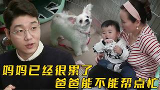 媽媽產後爲了照顧孩子，忽視小狗導致性格大變，訓犬師：爸爸去哪了？