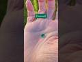 Birthstones by Month | May is Emerald! #shorts