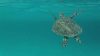 VOYAGE RANDO PHILIPPINES 2019