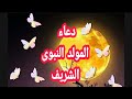 دعاء المولد النبوى الشريف2019 يهتز له عرش الرحمن أوعى تفوت الفرصه