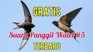 Suara Panggil Walet Terbaru Part 5