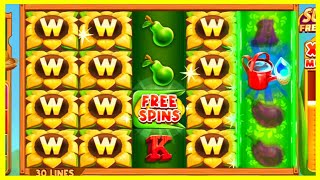 SUPER FREE SPINS BONUS! ⭐️ Golden Fields Slot! ⭐️ Big Wins! ⭐️ Best Online Slots! screenshot 3