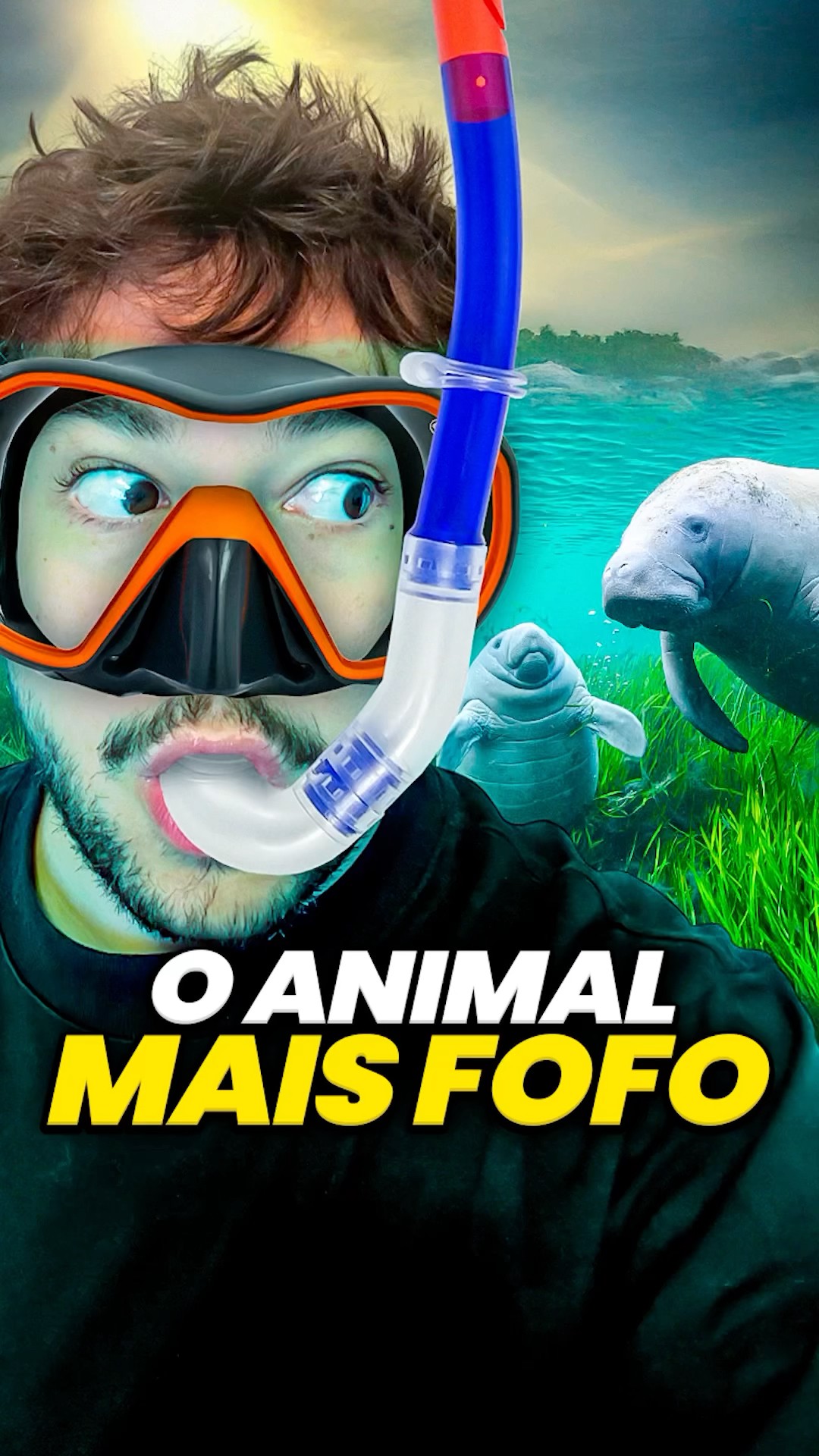peixe boi... #livedobrino #humor #MundinhoBrino