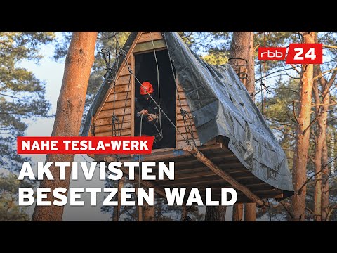 Protest bei Tesla-Werk: Umweltaktivisten besetzen Waldstück