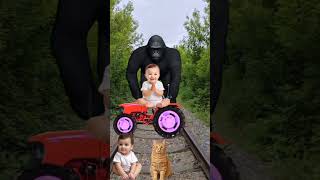 DescriptionXgolden colors Cute cat &amp; baby vs herdofbigfoot &amp; train driver tom 😅#funny 🤣