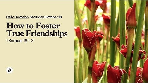 How to Foster True Friendships – Daily Devotional