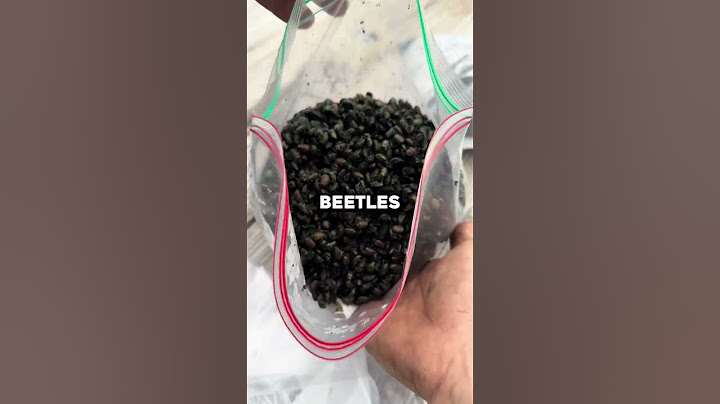 He Found An Infinite Food Glitch IRL 🤯 (@grassyforkacres)