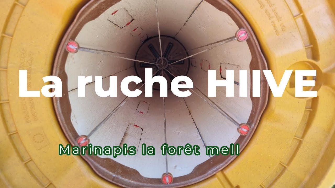 La ruche HIIVE une ruche allemande extraordinaire!