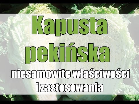 Wideo: Kapusta Pekińska I Jej Dobroczynne Właściwości