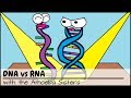 (OLD VIDEO) Why RNA is Just as Cool as DNA