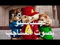 دسباسيتو الصلي دسباسيتو الصلي