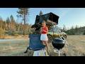 They Went Camping… What The Camera Caught Will Terrify You