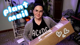 Unbox New Plant Mail with me from Etsy! two different plant mail unboxings  NEW WISHLIST PLANTS!