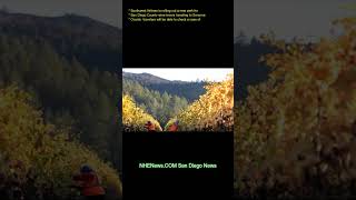 Southwest Airlines is rolling out a new perk for San Diego County wine lovers traveling to Sonoma Co