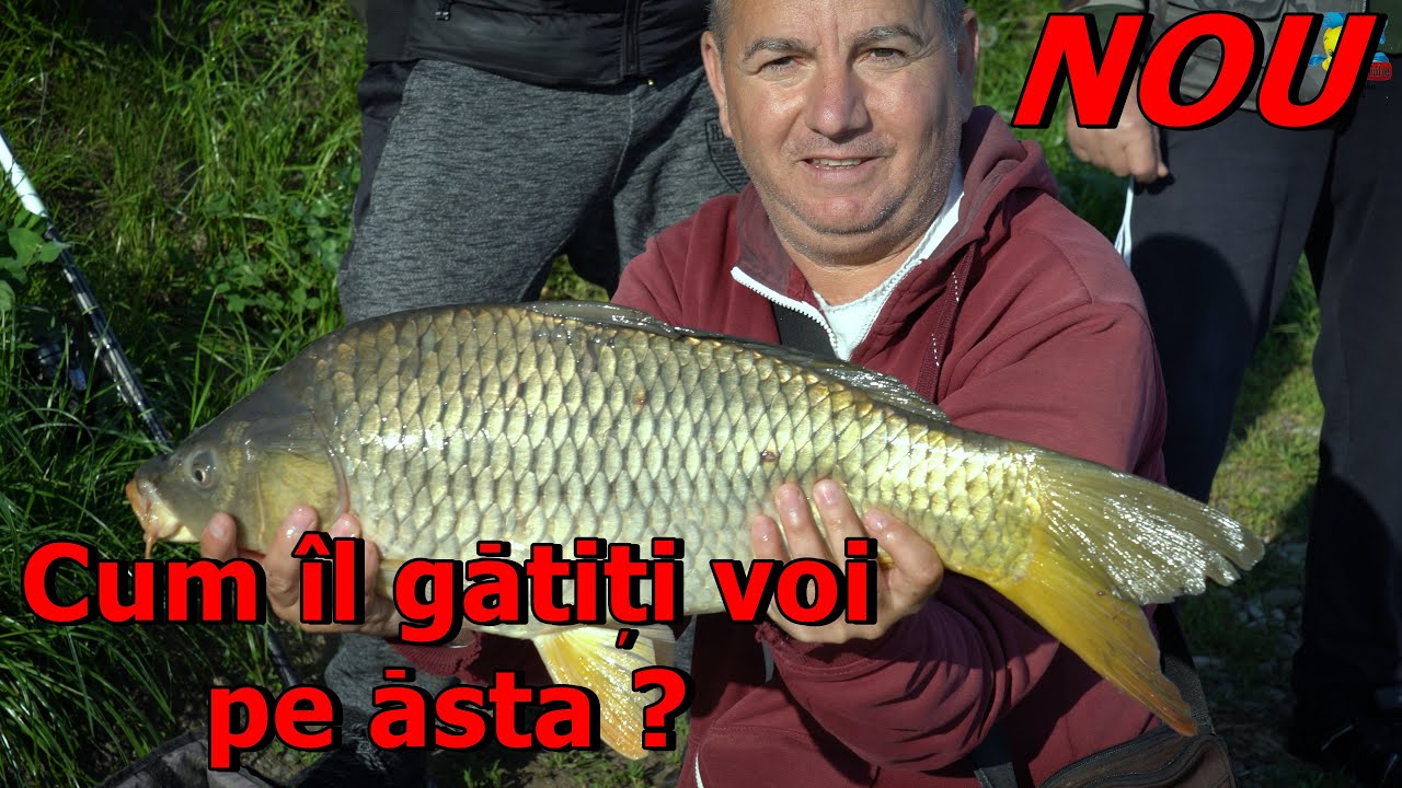CEL MAI TARE CONCURS DE PESCUIT SI GATIT CRAP PE BALTA STUPAREI VALCEA DIN 2022 - CRAP LA TUCI