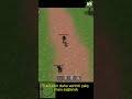 Sıfırdan tek başıma bir RPG oyun geliştiriyorum | Part 13 #shorts #gamedev #indiedev #oyungelistirme