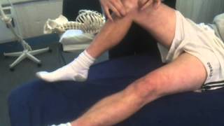 MCL and LCL Ligaments screenshot 5