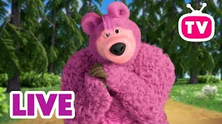 LIVE 🔴 Masha en de Beer 👱‍♀️🐻 Favoriete afleveringen 🥰⭐ Masha and the Bear