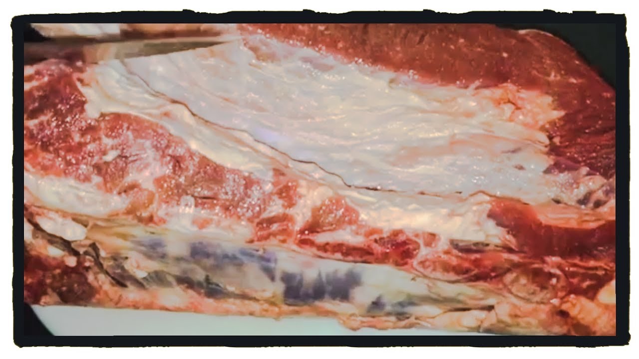 Como Separar un Brisket del Costillar / Pecho de Res bbq significado