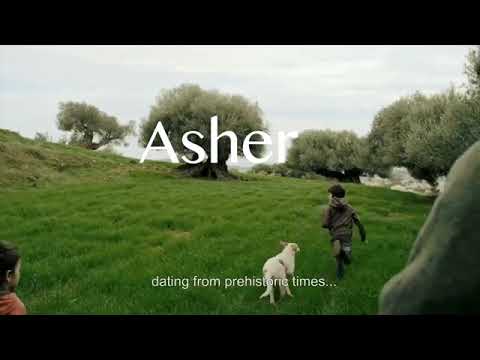 Vídeo: Què és Asher a la Bíblia?