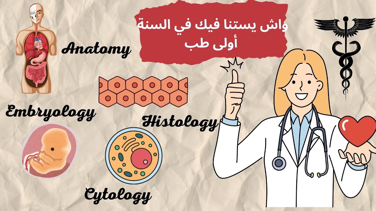 ماهي مواد السنة أولى طب بشري  : دليلك للتفوق في السنة أولى طب