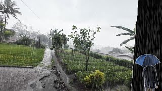 Расслабляющая прогулка во время сильного дождя и грома в деревне | ASMR Звуки дождя для учебы
