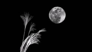 Full Moon in Pisces - September 6, 2017