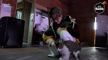 ¿Jimin es alérgico al gato?