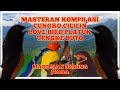 Masteran Kompilasi Lengkap Cucak Cungkok Cililin Love Bird Tengkek Buto Platuk Mp3 - Mp4 Download