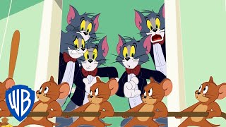 Tom y Jerry en Latino | El ataque de los clones | WB Kids