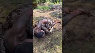 Mire Como Este Hombre Jugando Con Una Serpiente