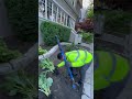 All Hands On Deck!