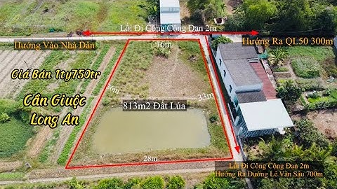 Đất Cần Giuộc Long An. Bán 813m2 Đất Lúa Đã Lên Nền Cao Cách QL50 Chỉ 300m
