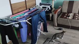 VID 20211201 122344