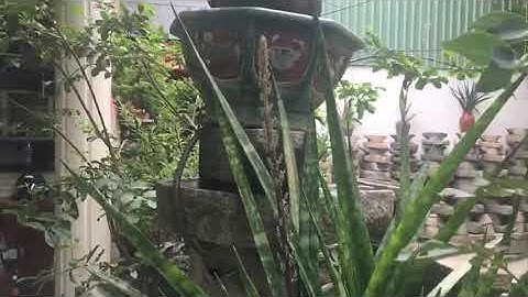 Thác nước bằng cối đá xưa nhà Cậu Út Sài Thành