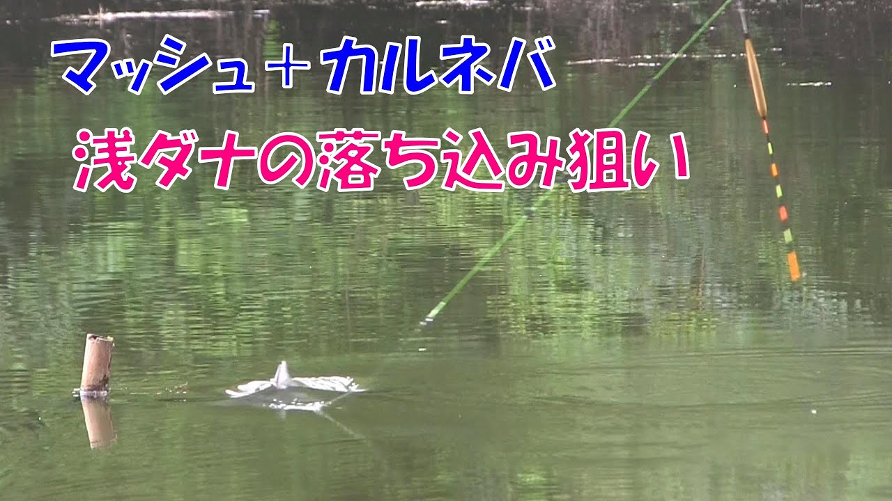 カルネバを使った浅ダナ落ち込みの釣り［上津ダム編９］