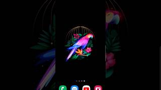 pika super wallpaper app ko kaise use kare #shorts #shortsvideo #pikasuperwallpaper screenshot 3