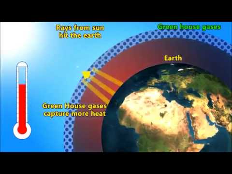 Homework help ozone depletion global warming Homework help ozone depletion global warming
