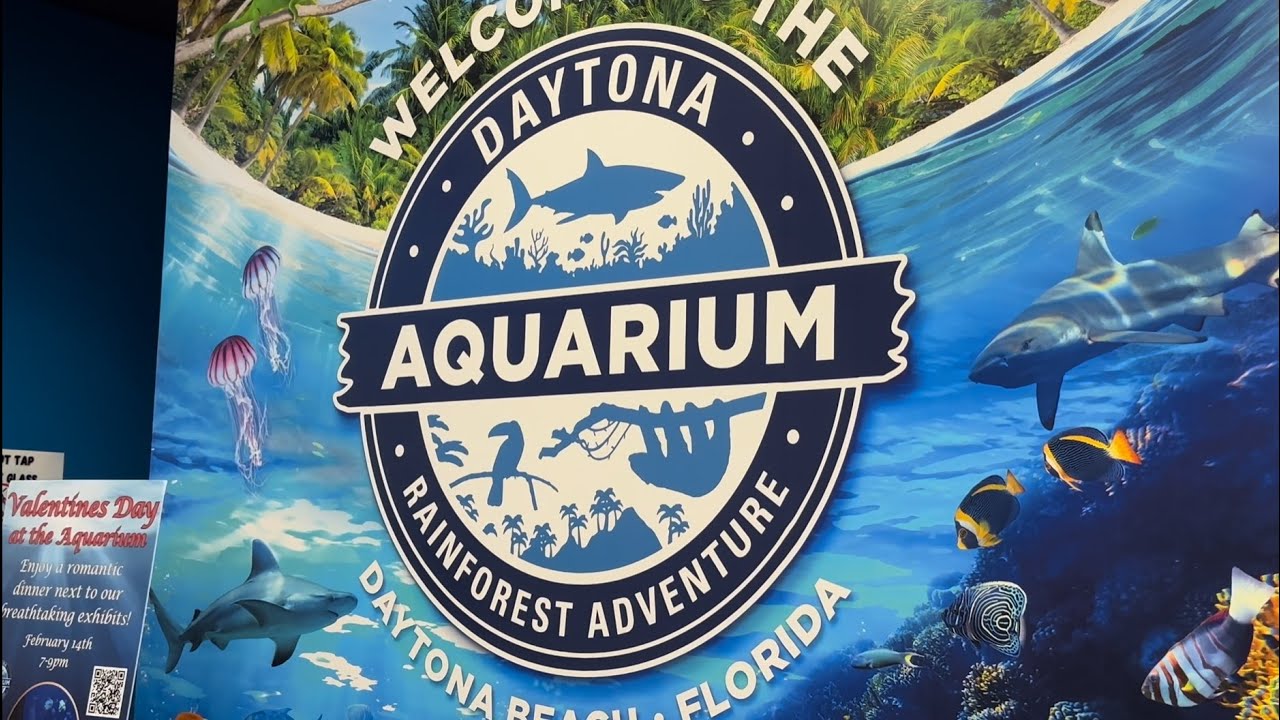 Daytona Aquarium & Rainforest Adventure: Shark Reef Exhibit