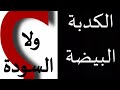 بدأت قناة الحقيقة مع مريم يعقوب بث ا مباشر ا بدأت قناة الحقيقة مع مريم يعقوب بث ا مباشر ا