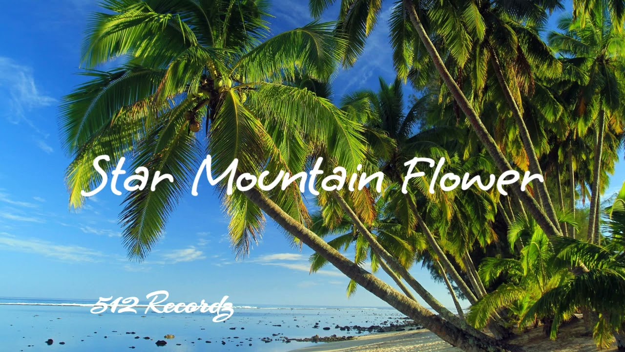 Slimpid Crew_Star Mountain Flower_2026