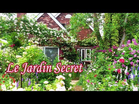 Vidéo: Jardin De Rocaille Japonais