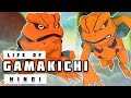 Life of Gamakichi in Hindi || Naruto