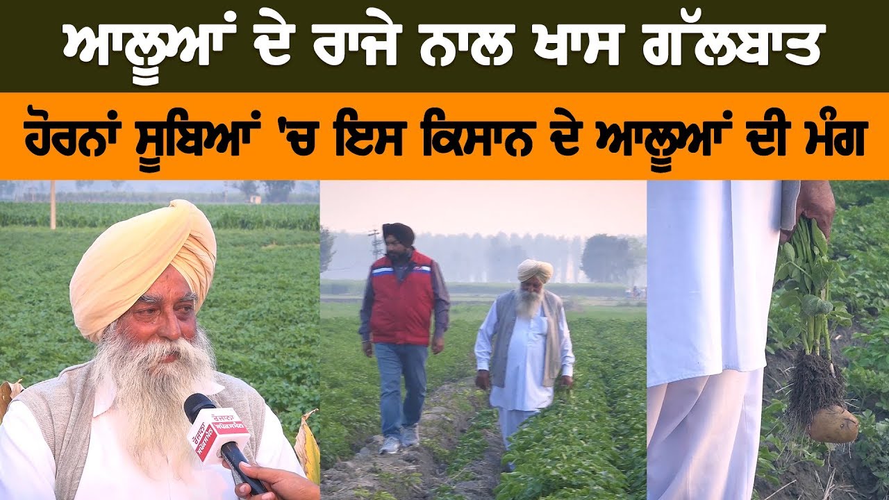 ਆਲੂਆਂ ਦੇ ਰਾਜੇ ਨਾਲ ਖਾਸ ਗੱਲਬਾਤ | Rozana Spokesman