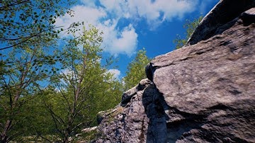 The Forest. A short Unreal Engine 4 Scene.