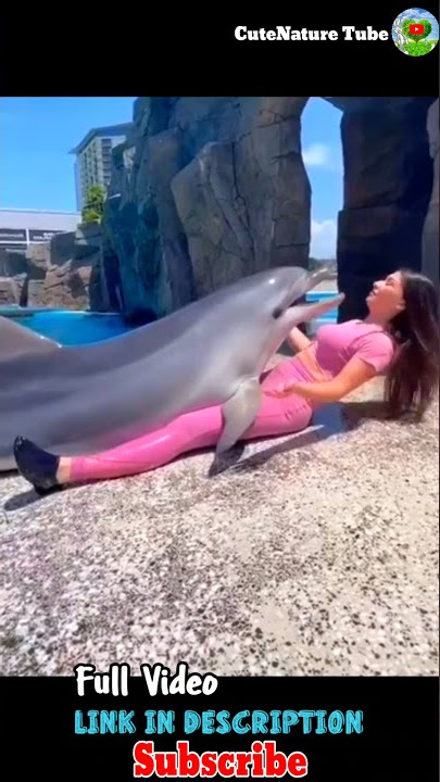 Girl Kisses Two Dolphins | Girl hug two dolphins